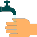 Wash Hands