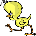 Chick - Angry 2