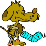 Broken Leg - Dog 2