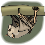 Bat 26