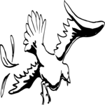 Bird 036