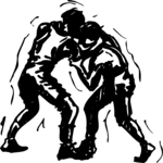 Wrestling 16
