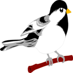 Chickadee 1