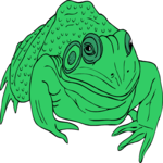 Frog 16