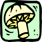 Mushroom 05