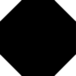 Octagon 3