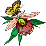 Butterfly 130
