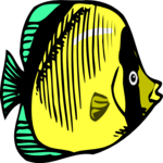 Fish 051