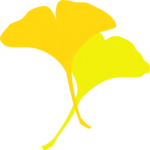 Flower 097