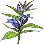 Flower 335