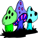 Mushroom 20