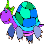 Tortoise 6