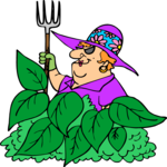 Gardener 26