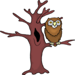 Owl 35
