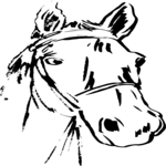 Horse 5