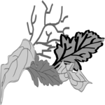 Leaves 31