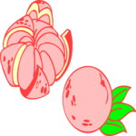 Oranges 07