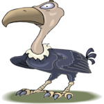 Vulture 05