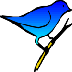 Bird 010