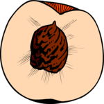 Peach 10