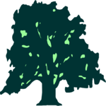 Tree 041