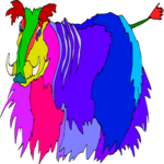 Boar