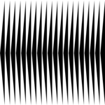 Border 447