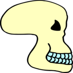 Skull 12