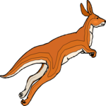 Kangaroo 18
