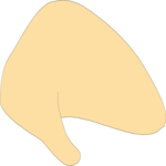 Chicken 1