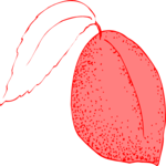 Peach 09