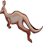 Kangaroo 06