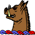 Boar - Head 5