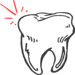 Tooth 11