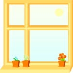 Window 20