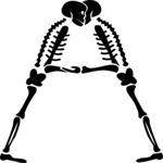 Skeleton A