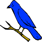 Bird 009