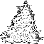 Tree 065