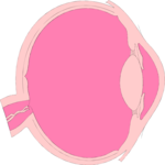Eye - Inner 5