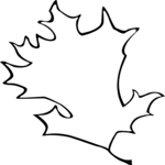 Leaf Frame 2