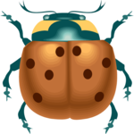 Ladybug 8