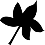 Leaf 048