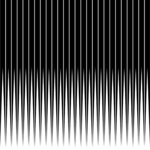 Border 516