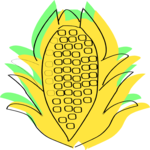Corn 32
