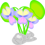 Violet 1