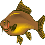 Fish 256