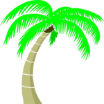 Palm Tree 38