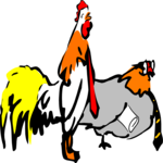 Business Chickens 1
