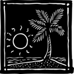 Palm Tree, Ocean & Sun