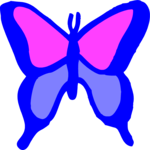Butterfly 11